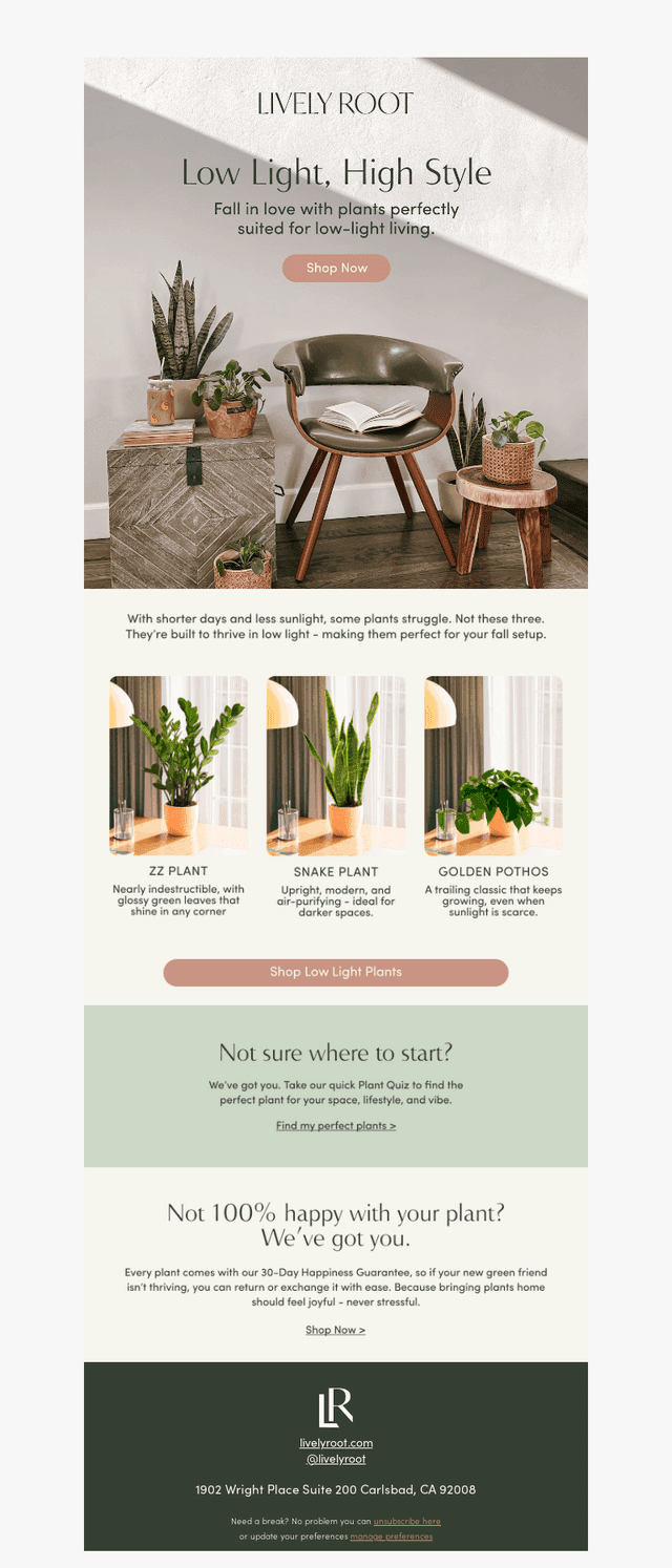 The perfect plants for shorter days 🌿