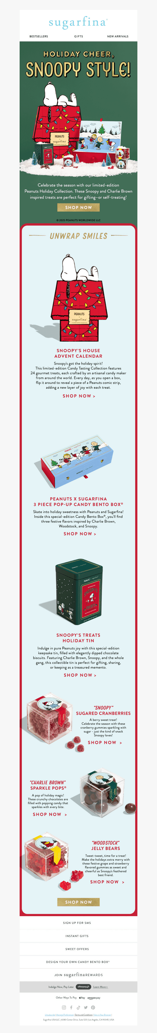 NEW: Snoopy Holiday Collection ❤️
