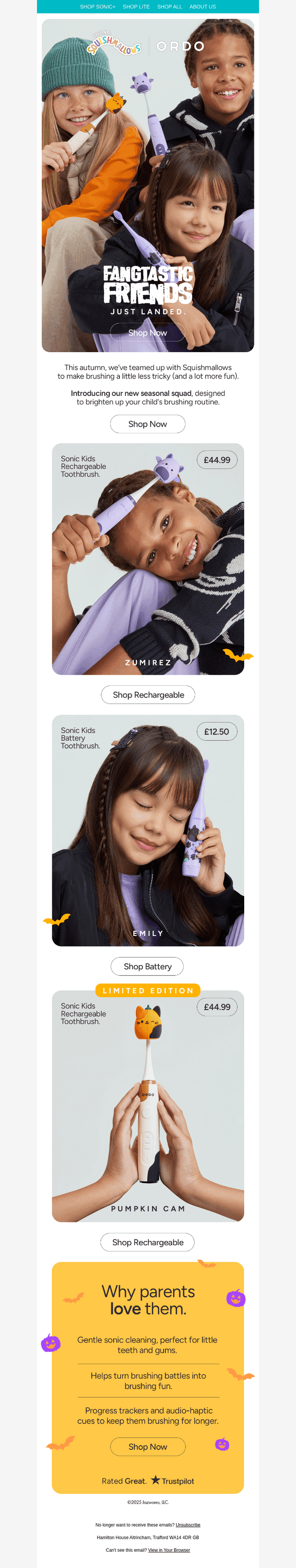 New Squishmallows Just Landed