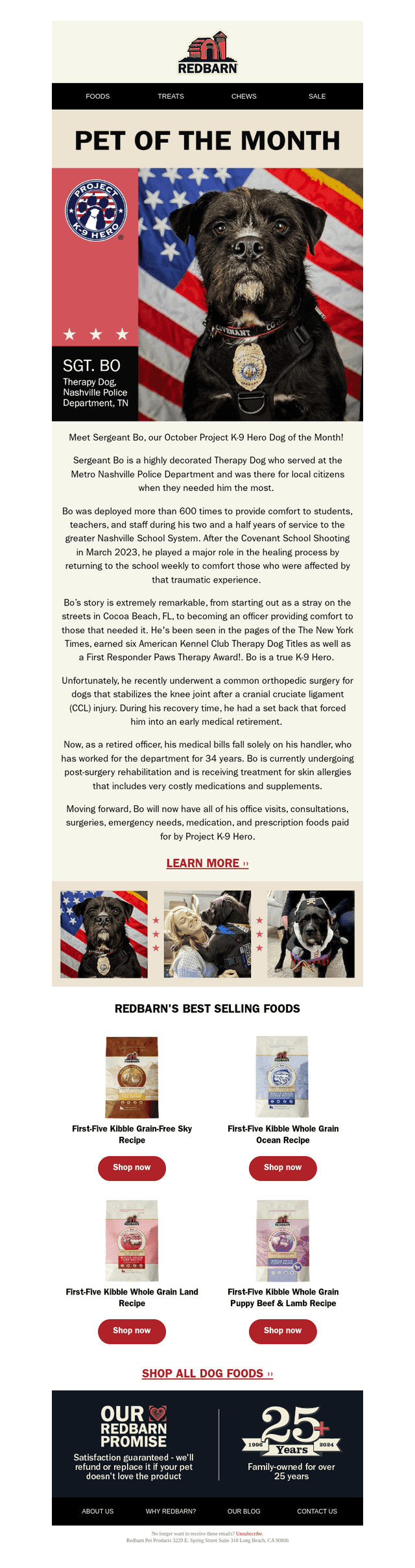 Meet Sergeant Bo, a highly decorated Therapy Dog