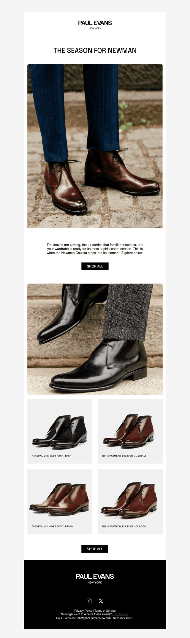 Autumn Essentials: The Newman