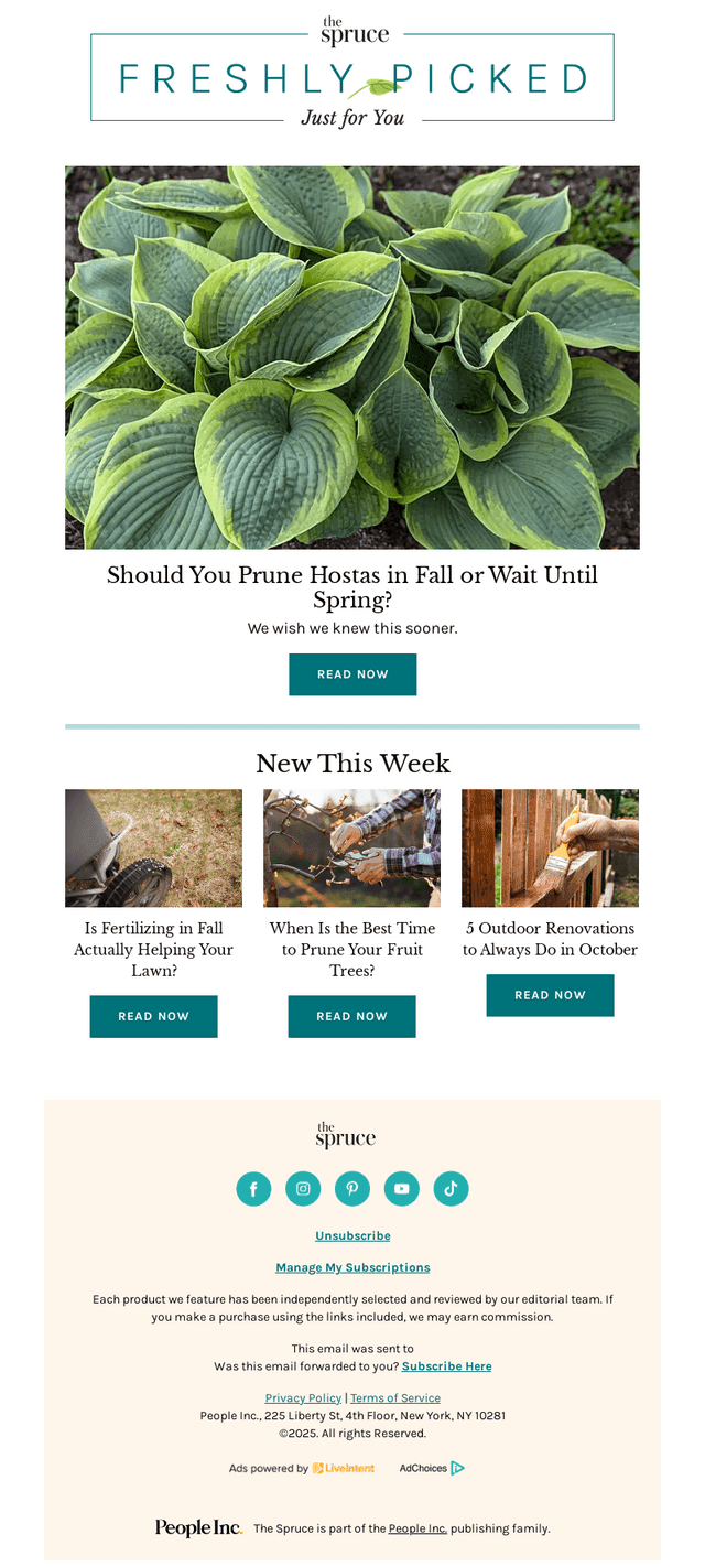 Should You Prune Hostas in Fall or Wait Until Spring?