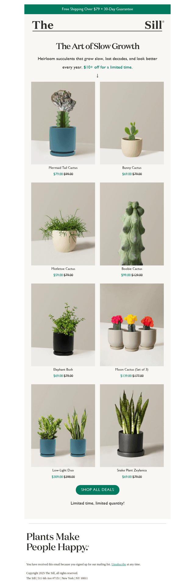Enjoy $10+ off Succulents