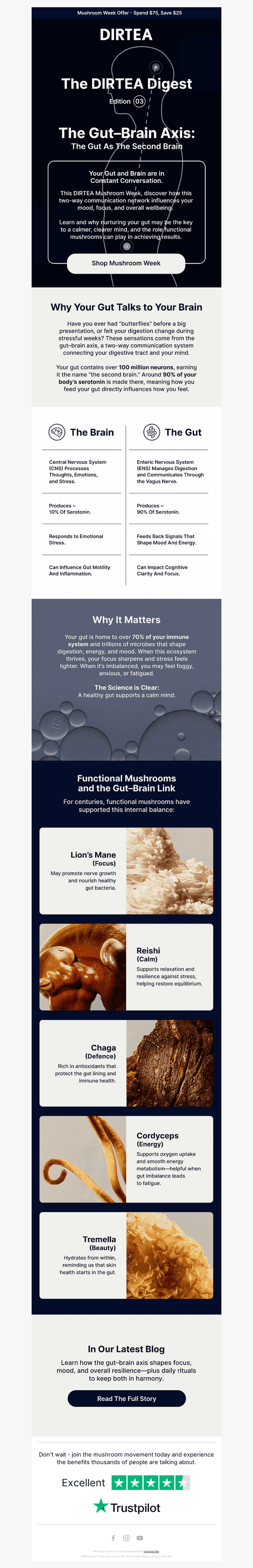 The DIRTEA Digest Edition 03: The Gut-Brain Axis