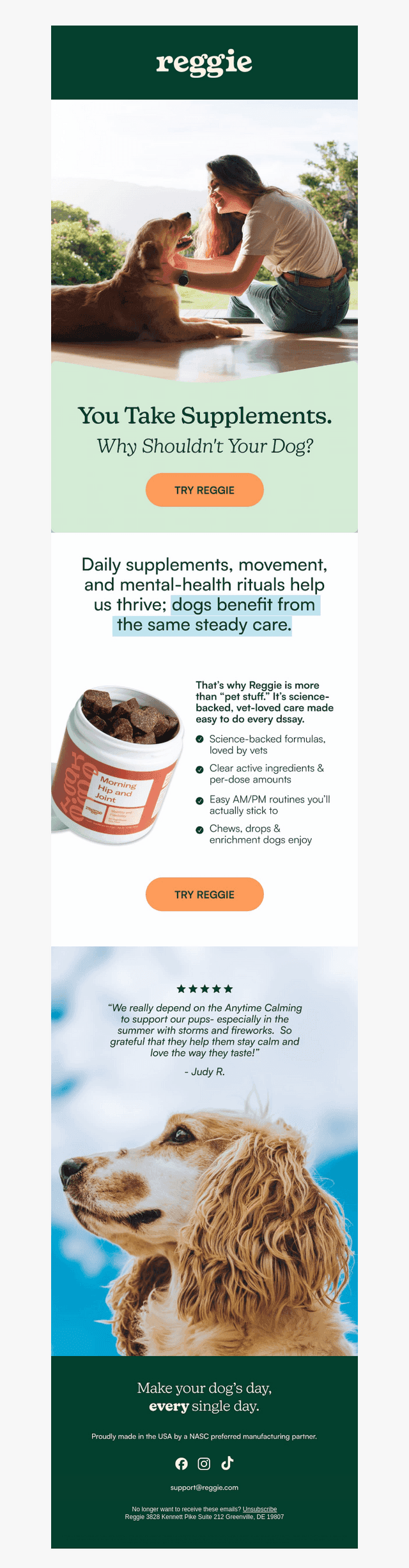 You take supplements. Why not your dog? 🐶