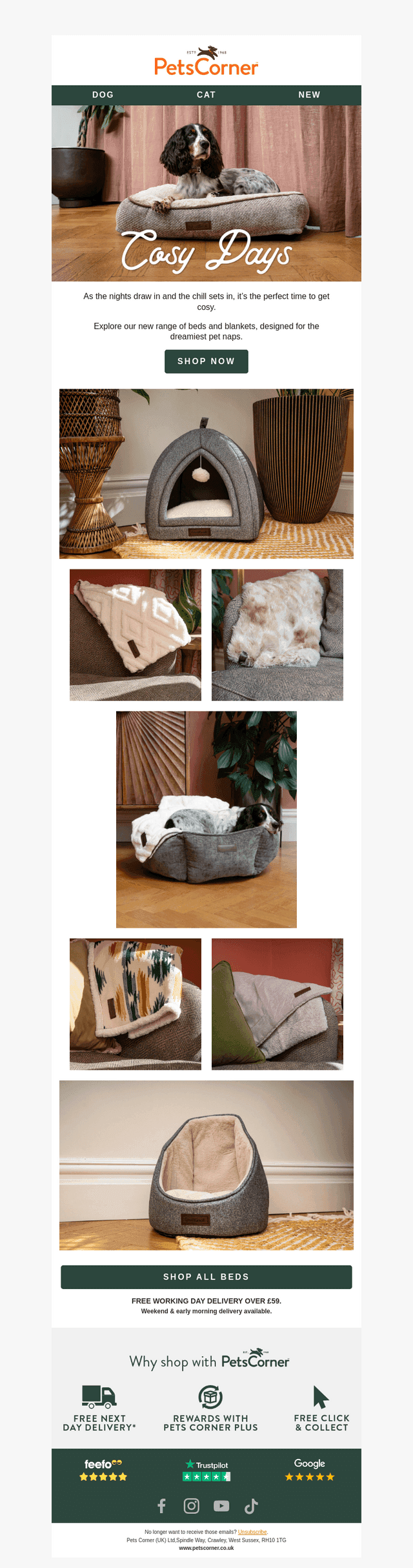 Cosy Up : Explore Our New Pet Beds