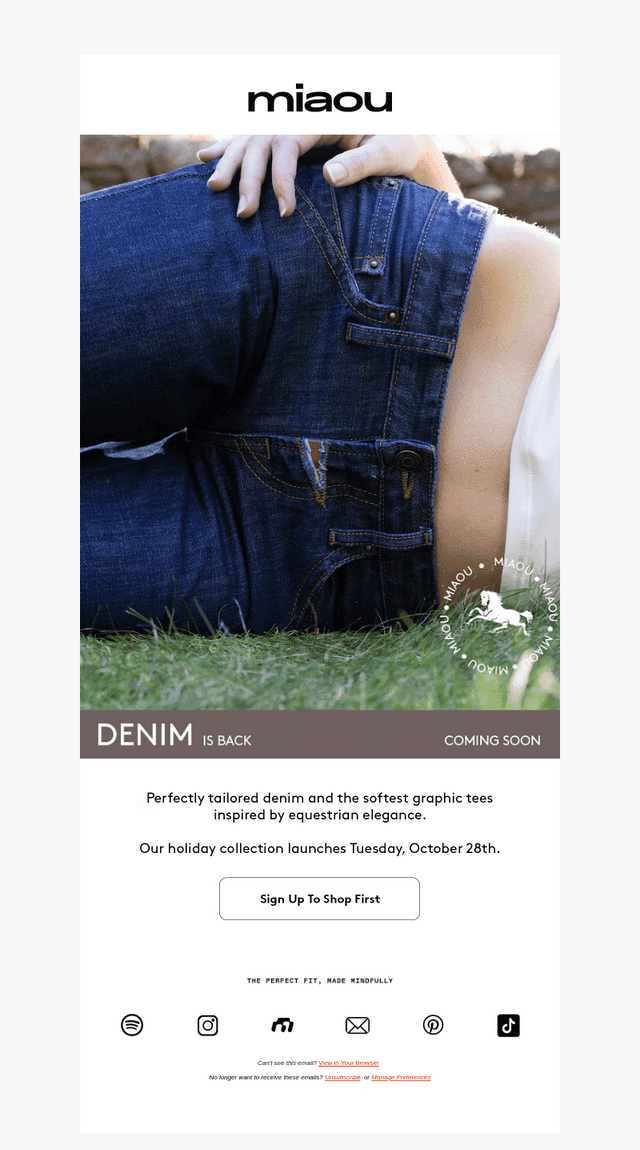 COMING SOON: DENIM IS BACK