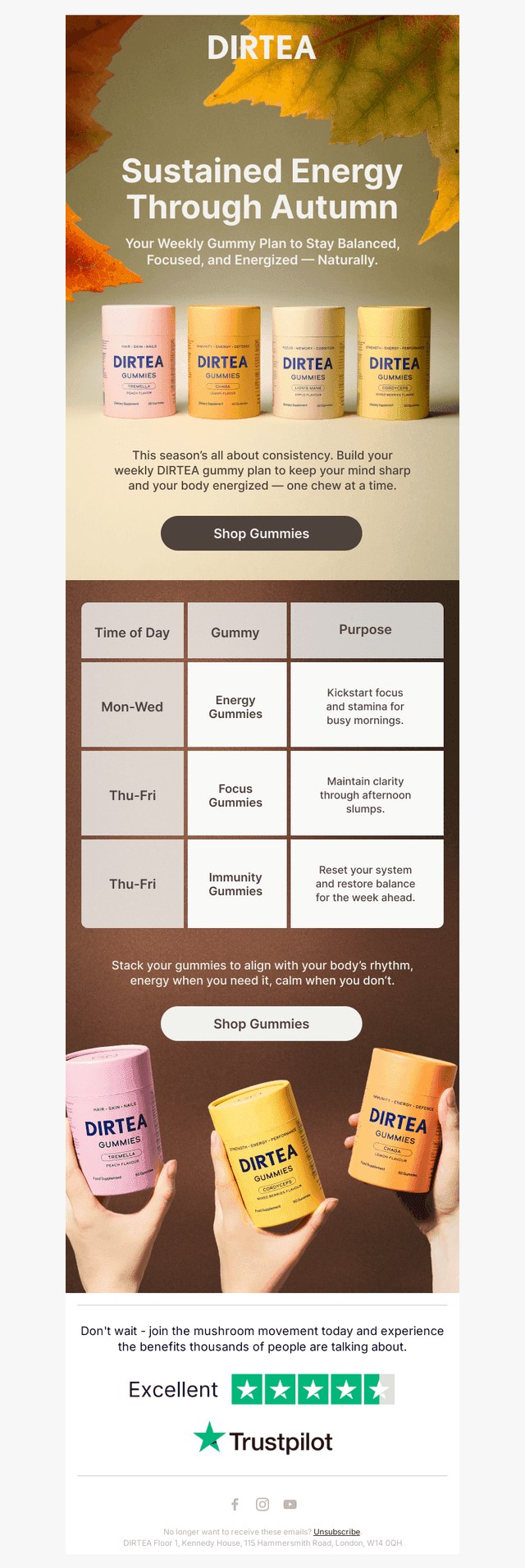 Sustained Energy Through Autumn: Your Plan
