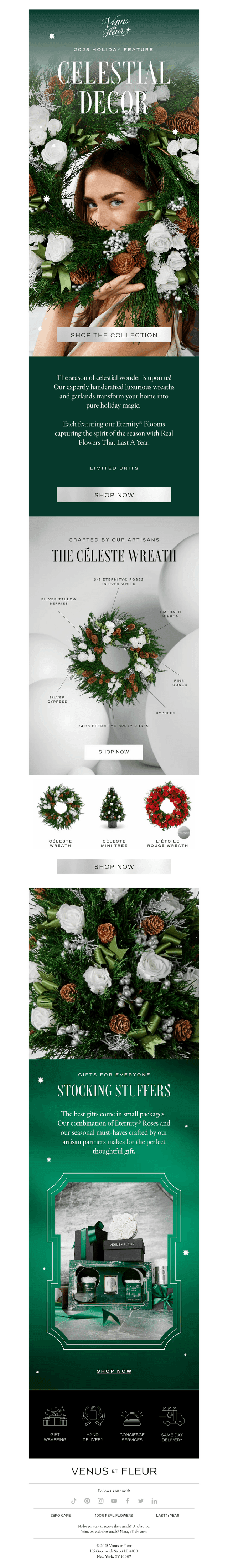 [NEW] Celestial Holiday Decor ✨