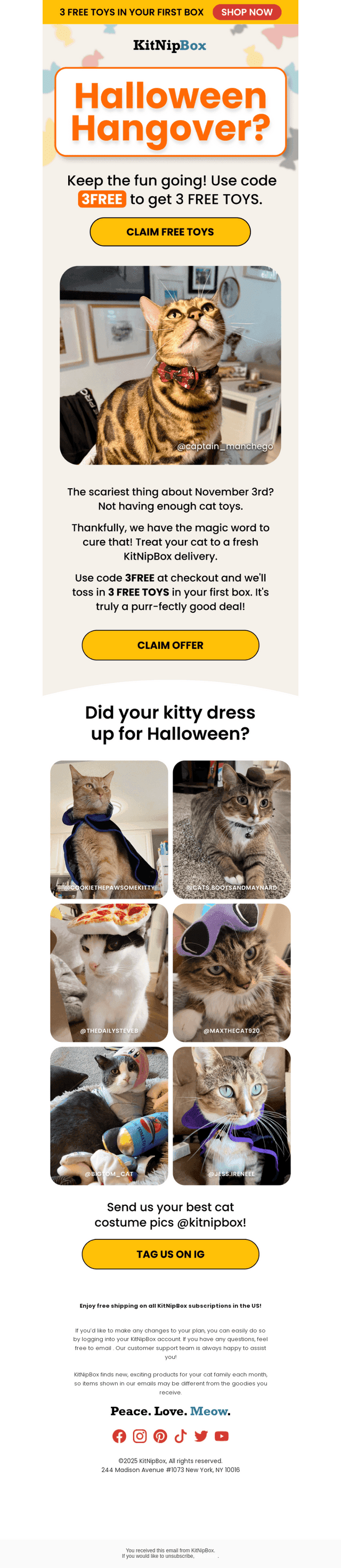 KitNipBox email from Mon, Nov 3, 2025