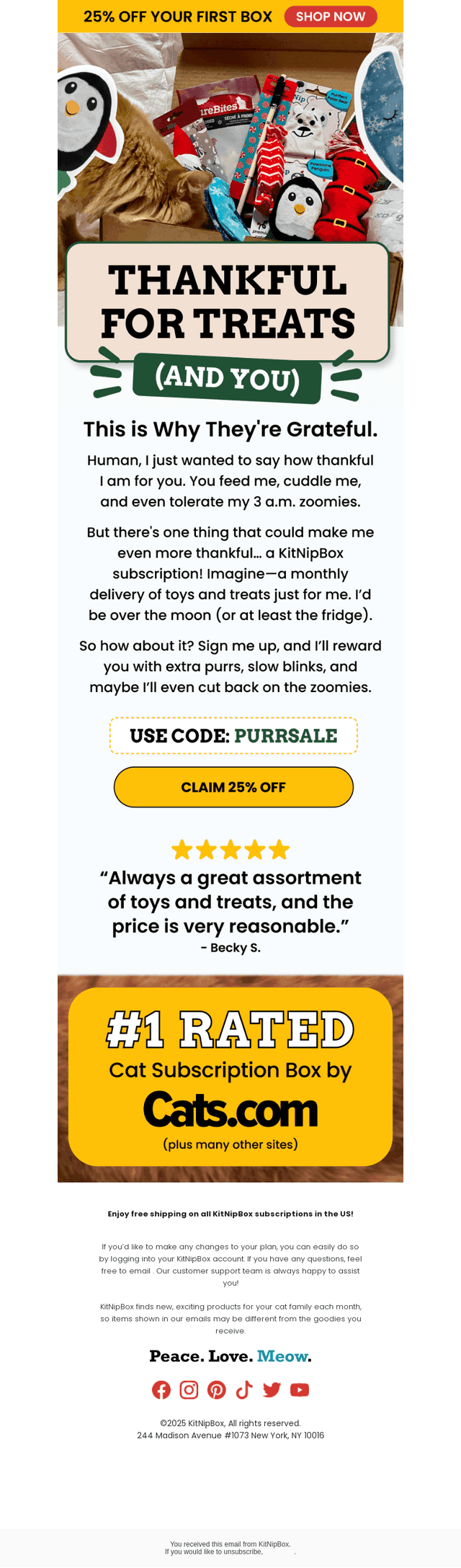 KitNipBox email from Sun, Nov 23, 2025
