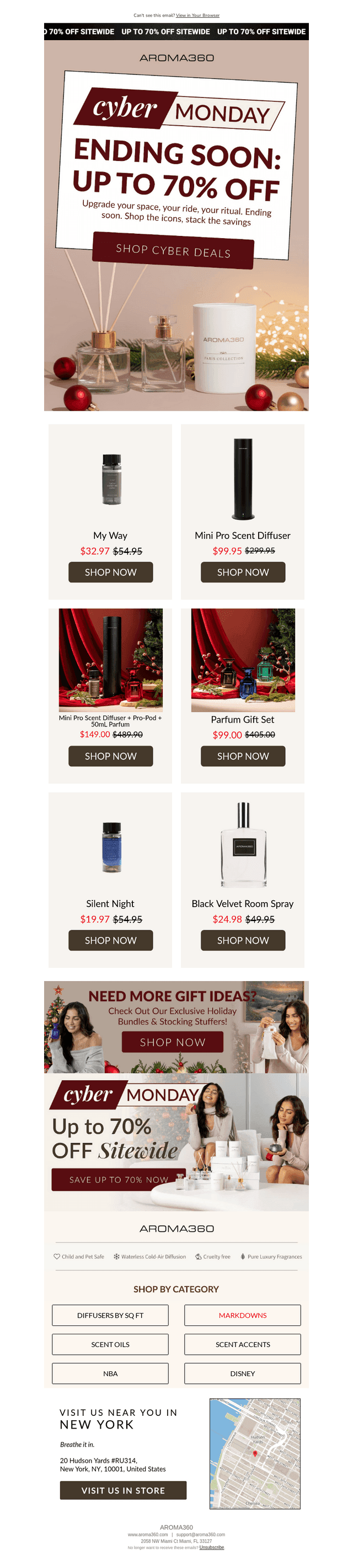 Last Chance: Cyber Steals