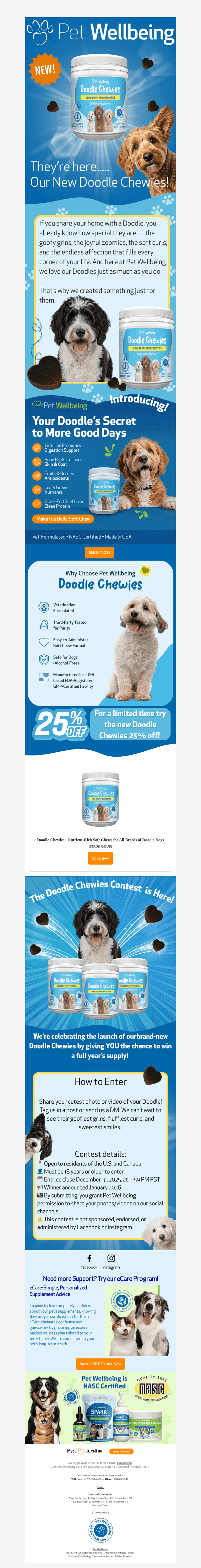 Try Doodle Chewies — Now 25% Off! 🐾