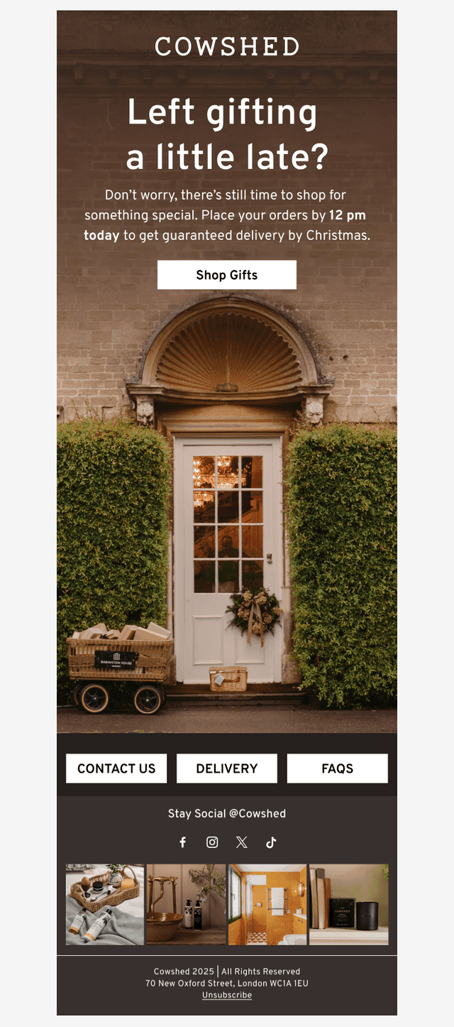 Last Day for Holiday Delivery 🎄