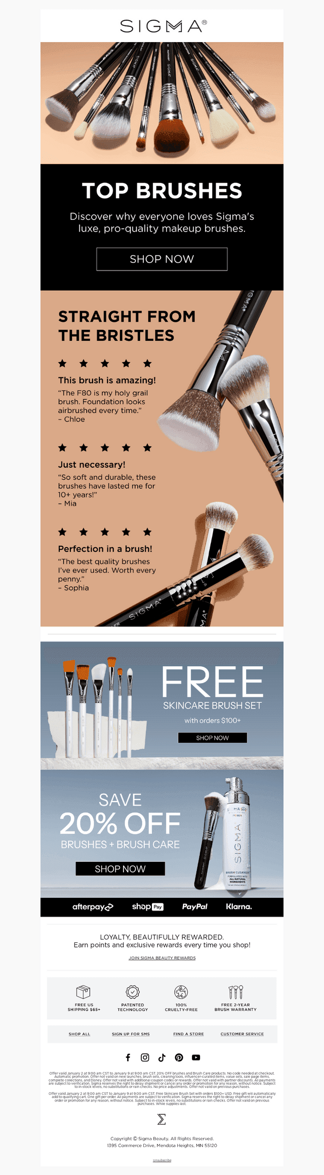 Why Everyone Loves Sigma Brushes