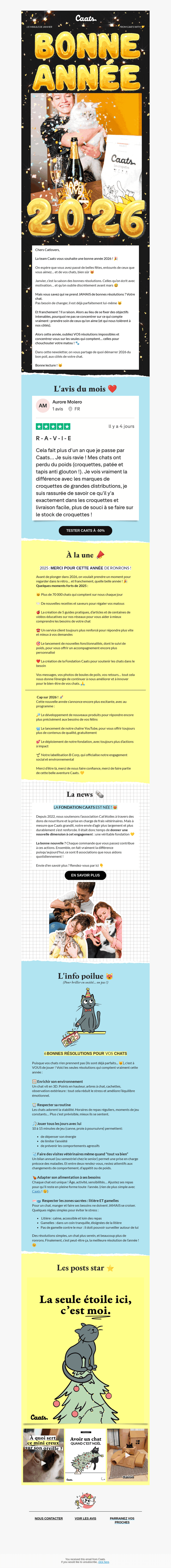 Les bonnes résolutions de ton chat !  😼