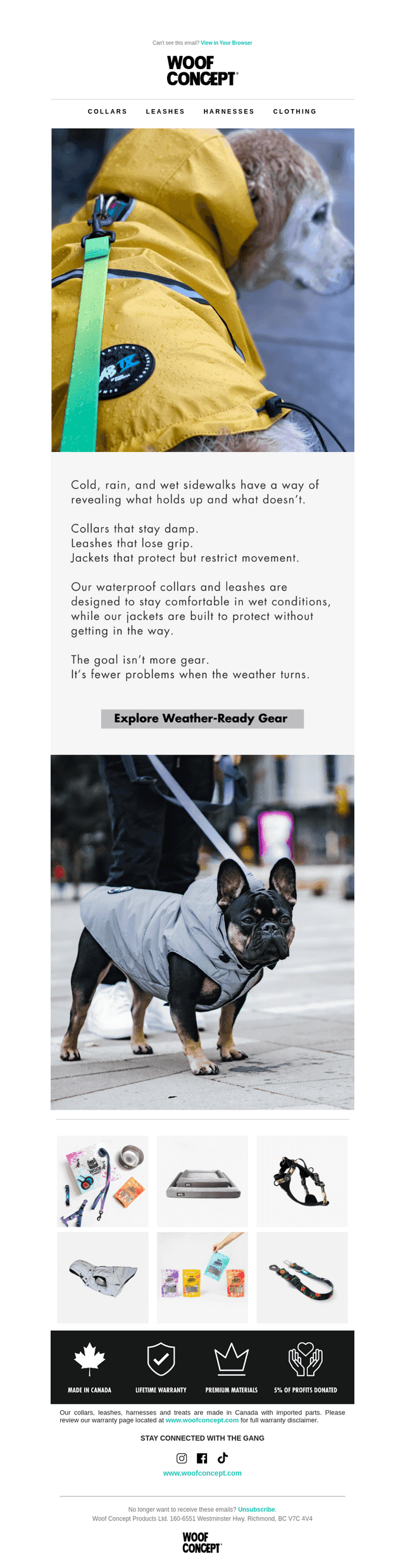 Winter exposes weak gear fast 🐕