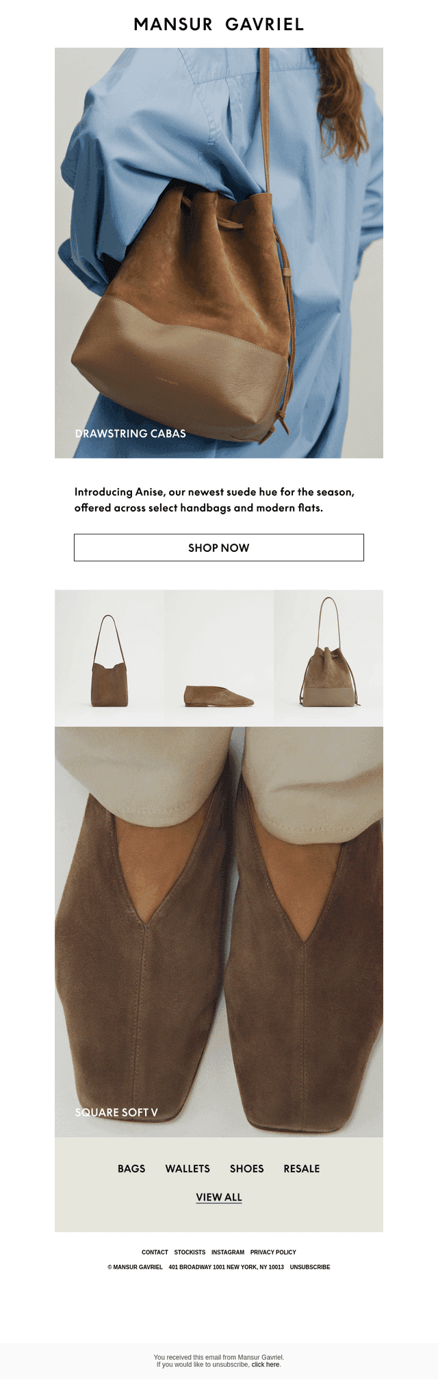 Color in Focus: Anise