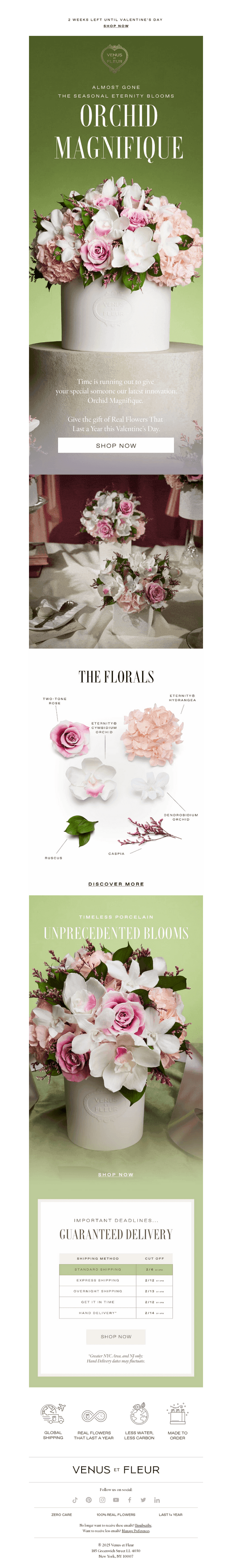 Venus et Fleur email from Mon, Feb 2, 2026