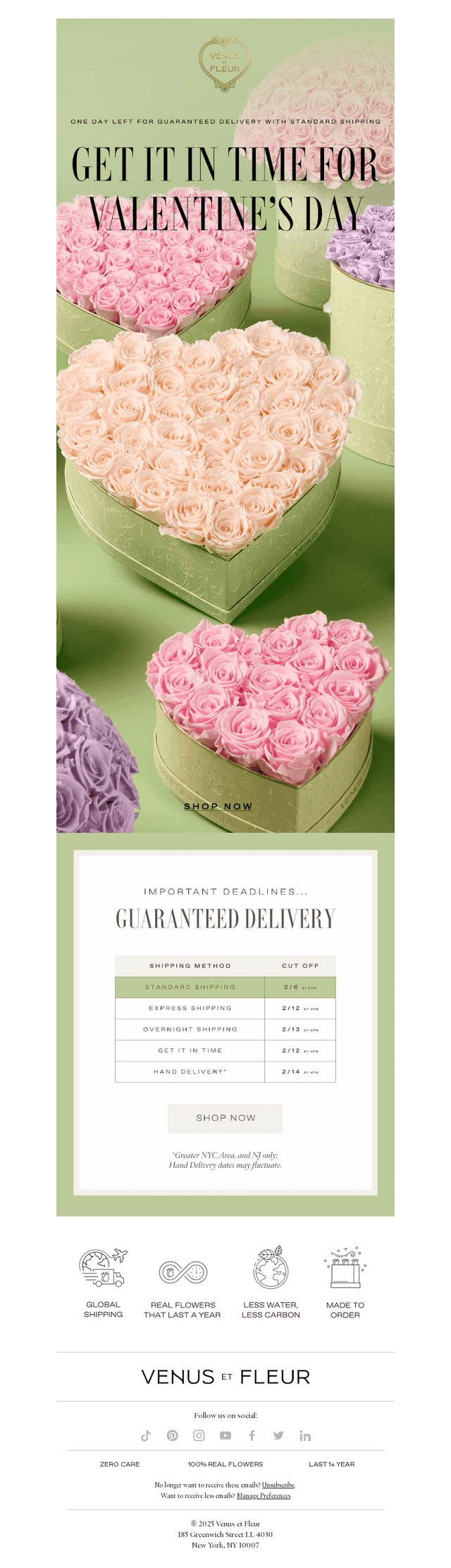 Venus et Fleur email from Thu, Feb 5, 2026