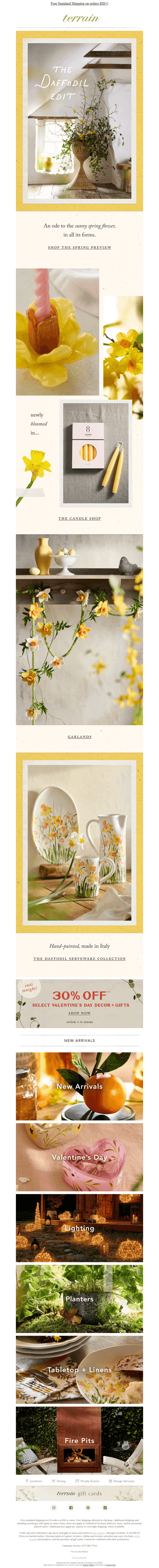 THE DAFFODIL DECOR EDIT
