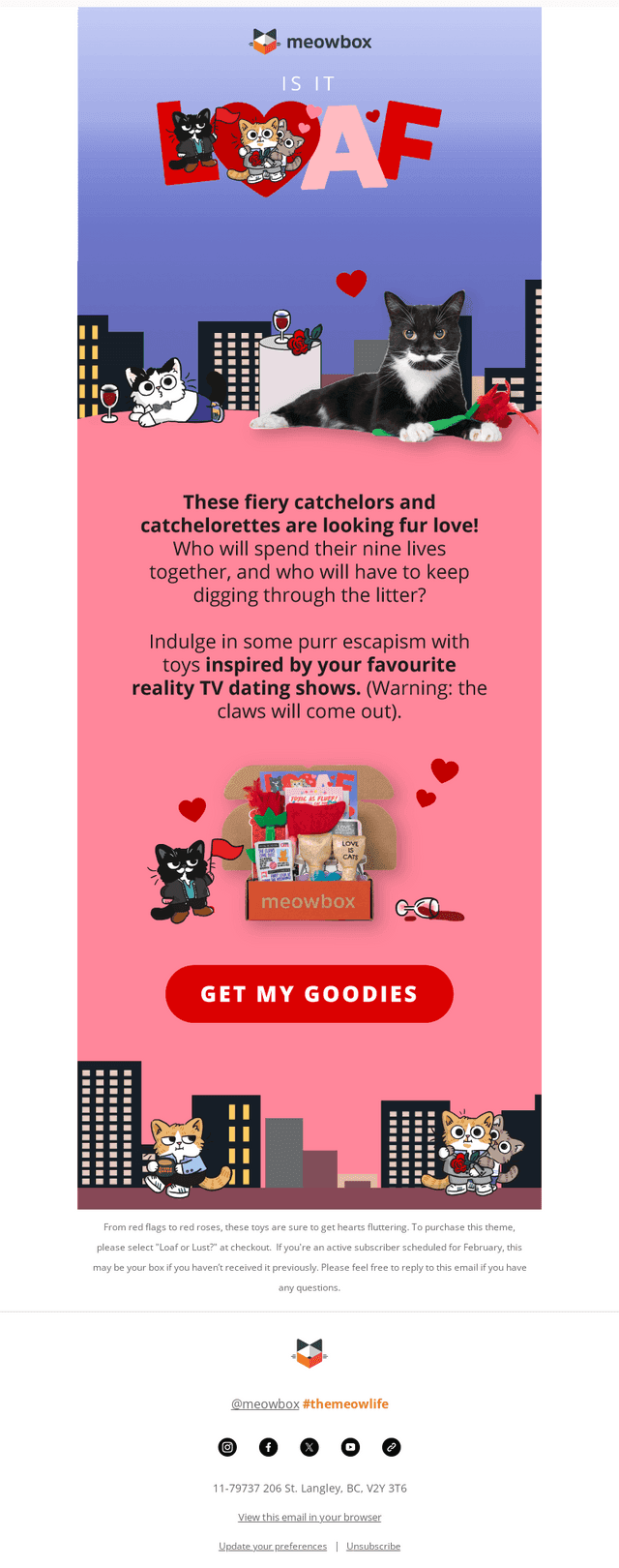meowbox email from Mon, Feb 9, 2026