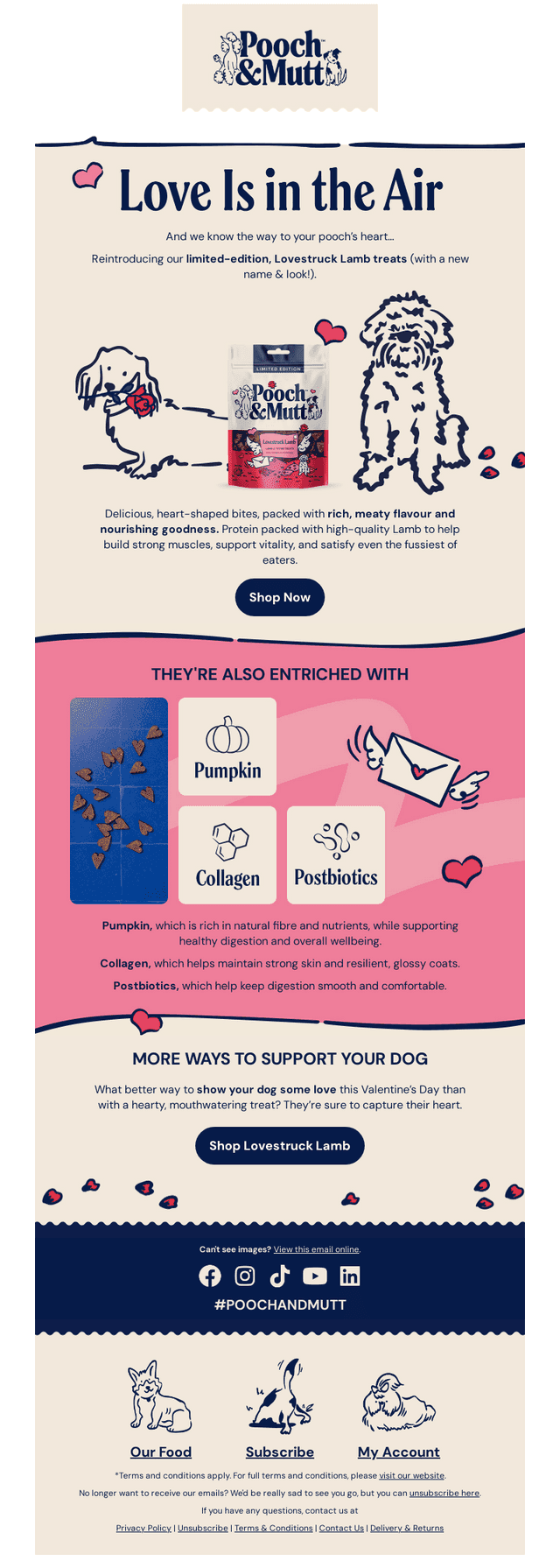 Pooch and Mutt email from Tue, Feb 10, 2026