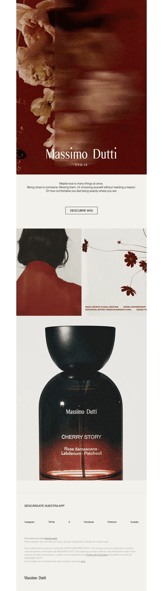 Massimo Dutti Paper | Feb.14