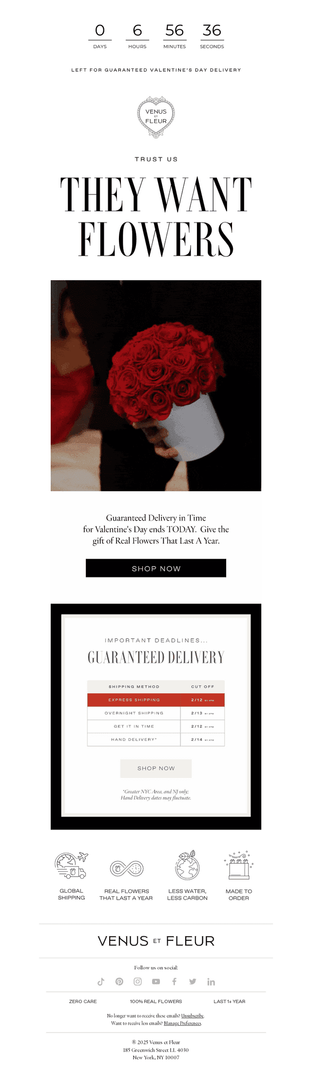 Venus et Fleur email from Thu, Feb 12, 2026
