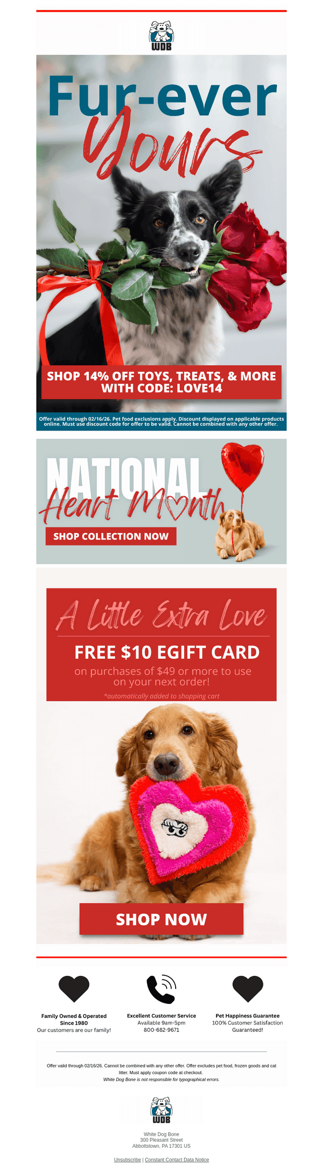 Get the Paw-fect Match
