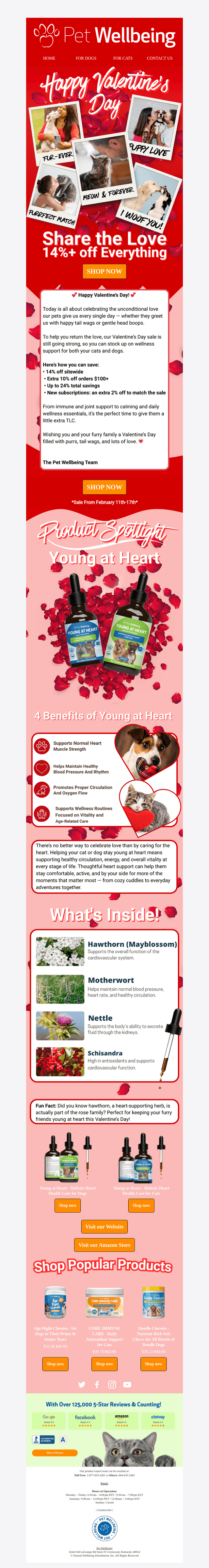 Pet Wellbeing email from Sat, Feb 14, 2026