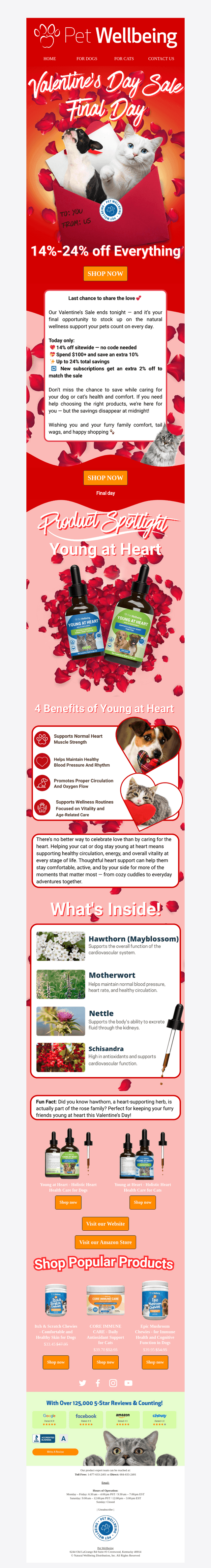 Pet Wellbeing email from Tue, Feb 17, 2026