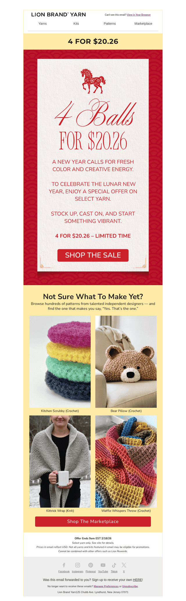 Lion Brand Yarn email from Tue, Feb 17, 2026