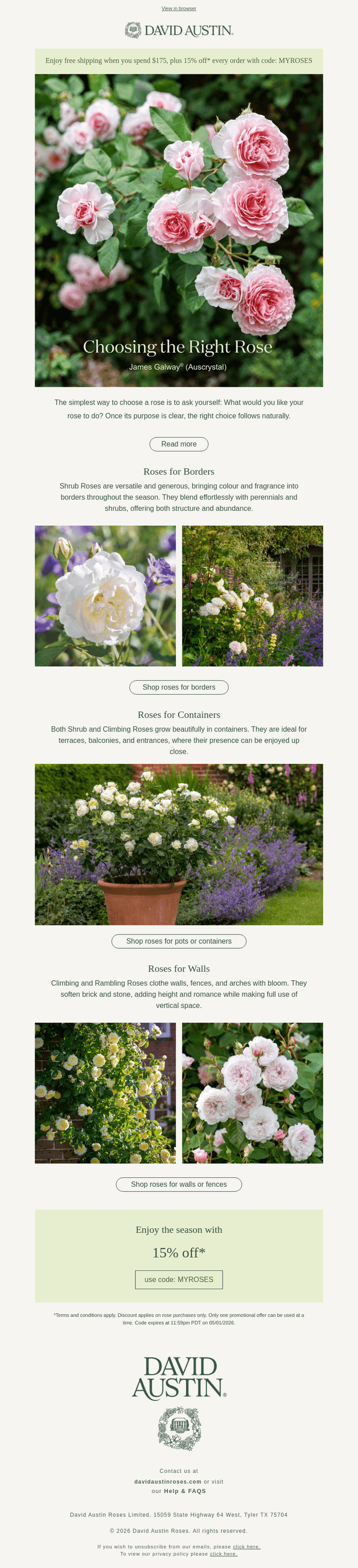Choosing the right rose
