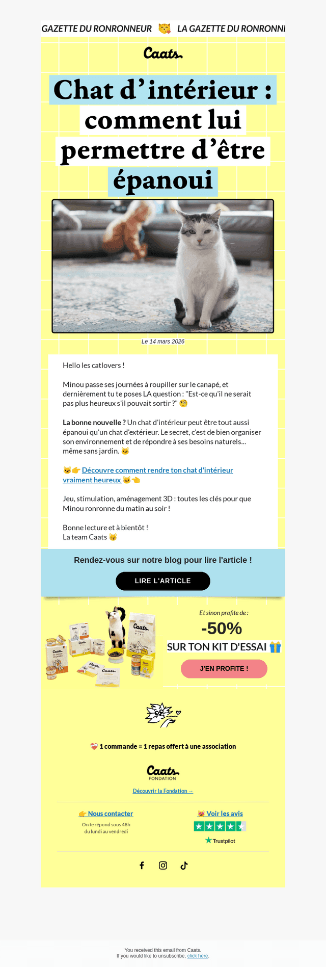 Comment rendre ton chat d'intérieur épanoui ? 😽