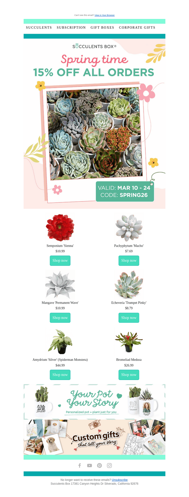 🌱 Spring Has Sprung: Enjoy 15% Off!