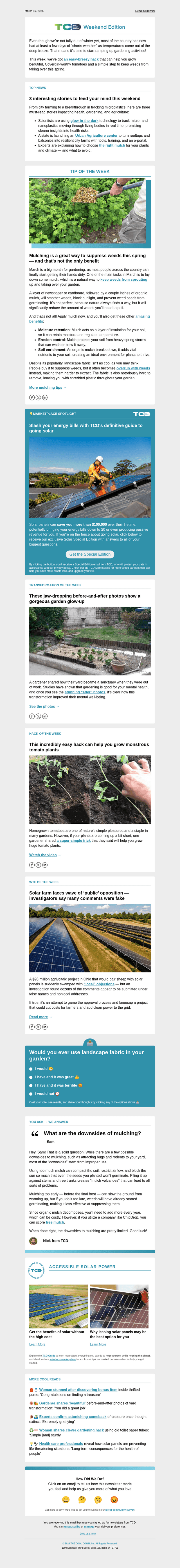💪🍅 This surprisingly simple hack will help you grow monstrous tomatoes this spring