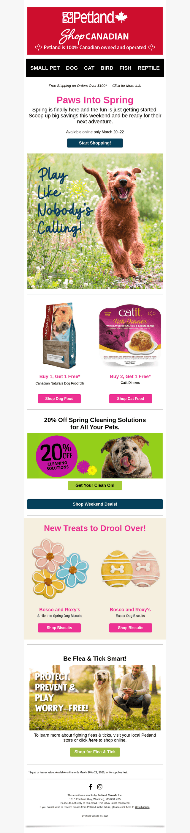 Unleash Spring Savings! 🌼