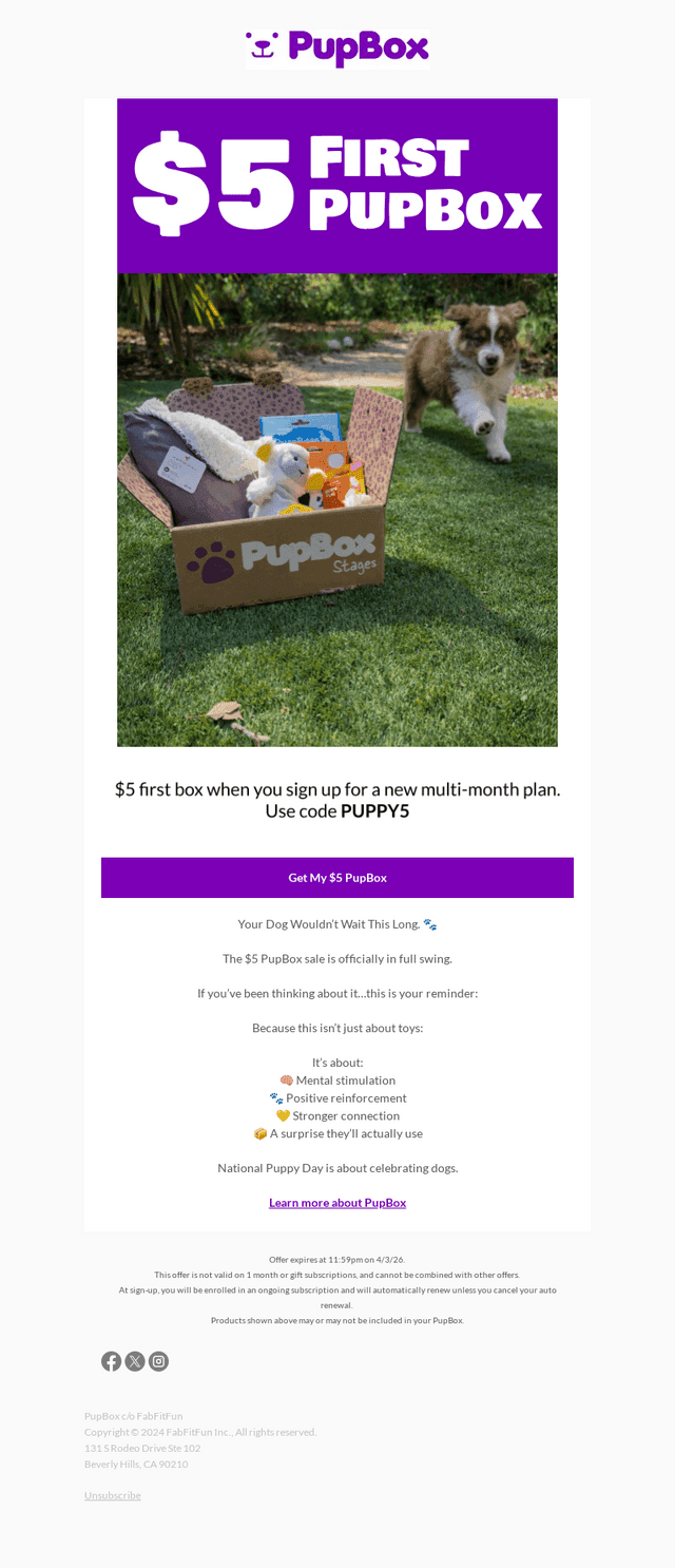 Don’t Miss the $5 Box 🐾