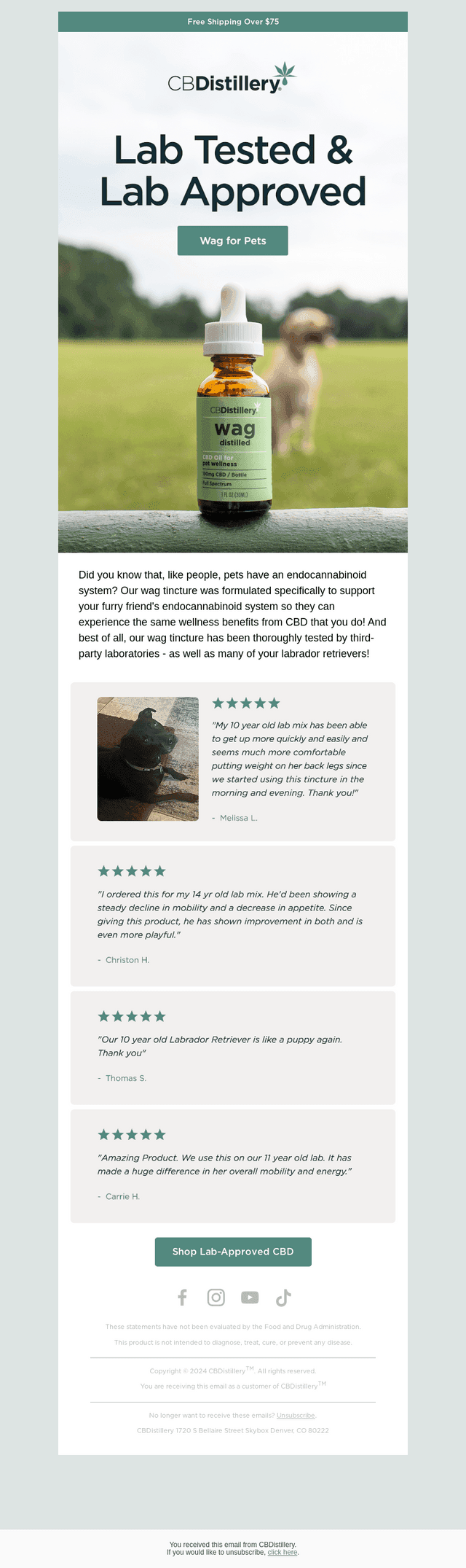The CBDistillery email from Tue, Mar 24, 2026