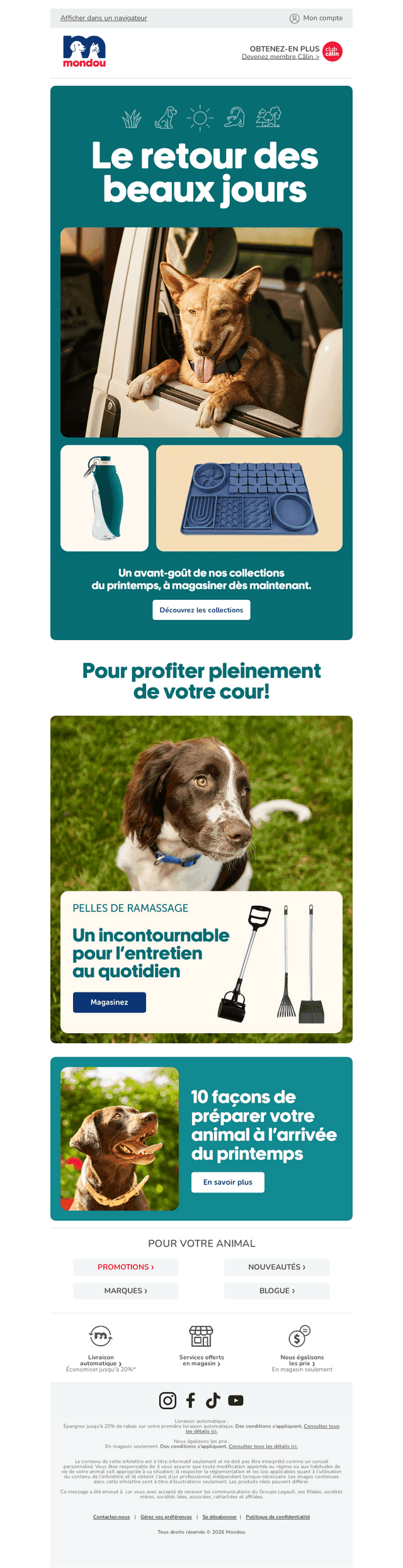 Aperçu exclusif🌷Nouveautés du printemps