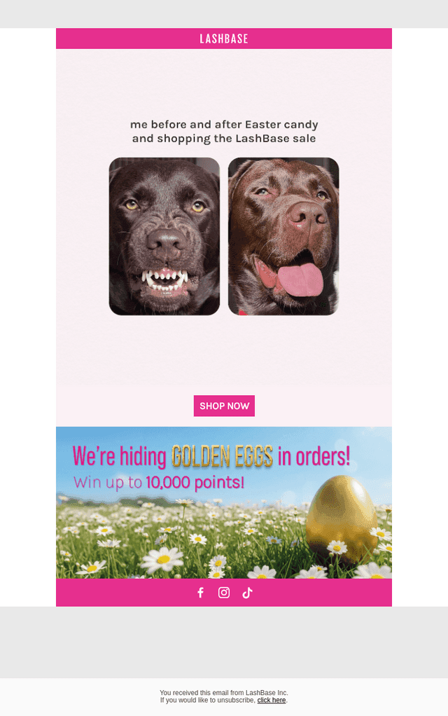 LashBase email from Fri, Apr 3, 2026