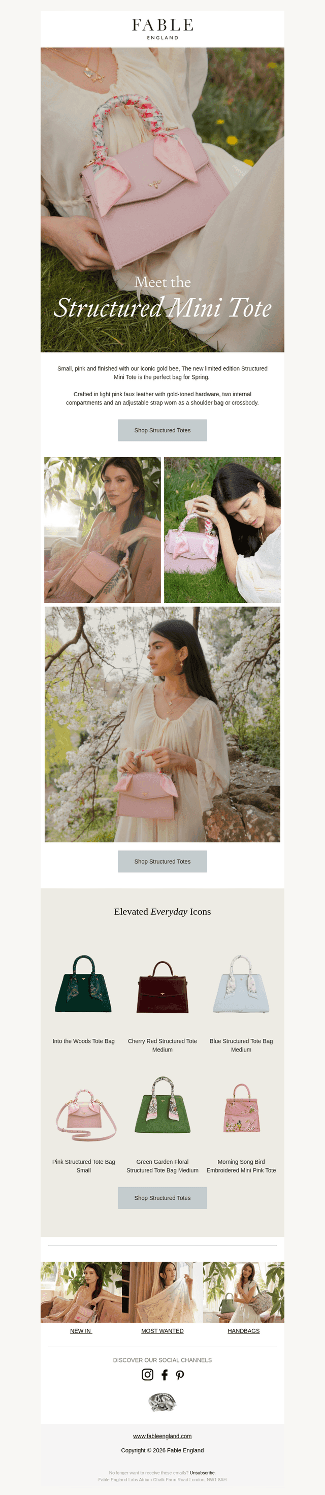 New Limited Edition Pink Mini Tote