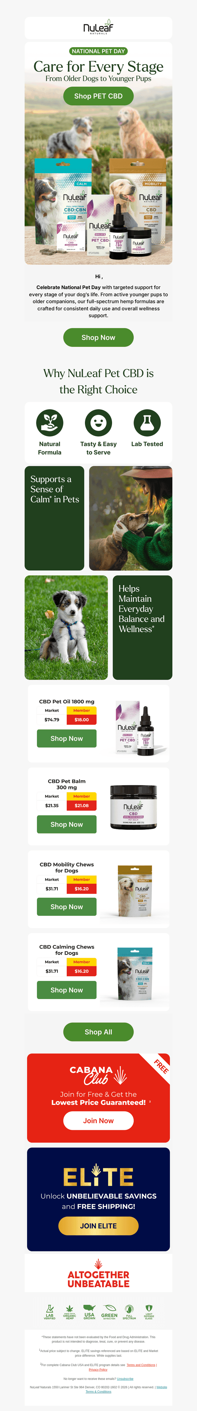 National Pet Day Essentials