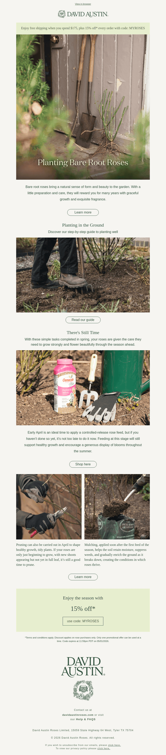 How to plant Bare Root Roses