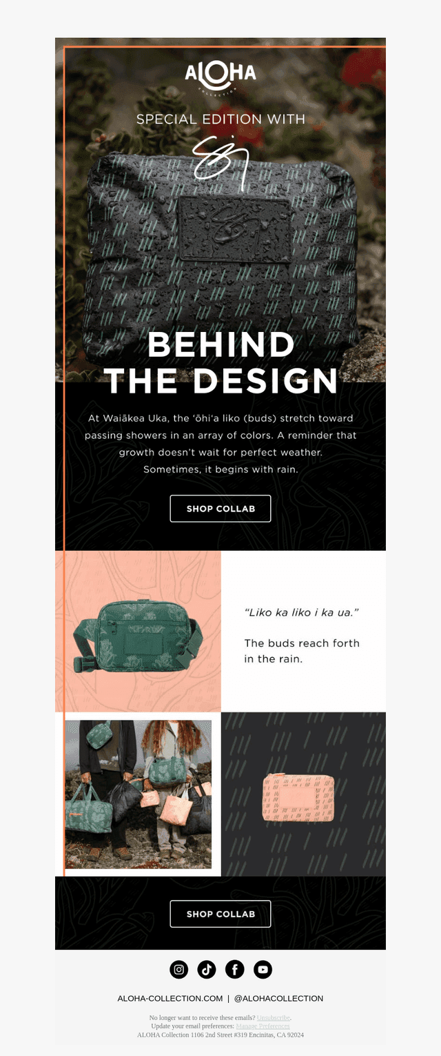 Behind the Design: Sig Zane Designs 🌧️