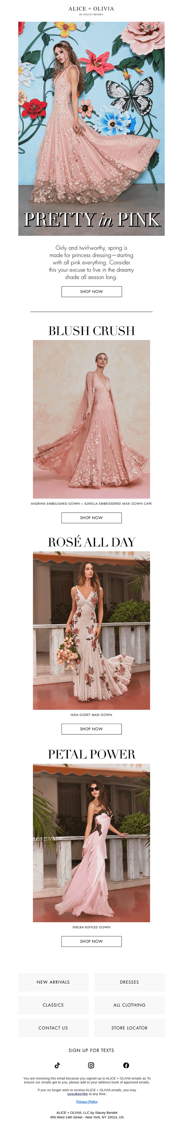 New Spring Arrivals! 💐☀️