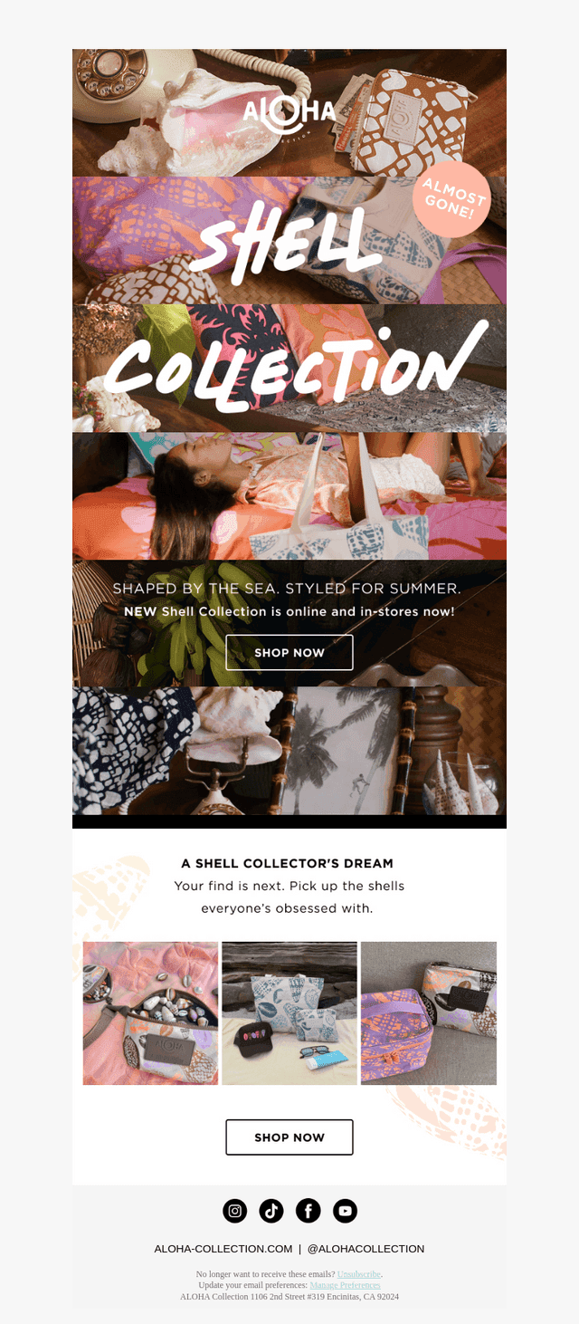 NEW Shell Collection Everyone Is Loving