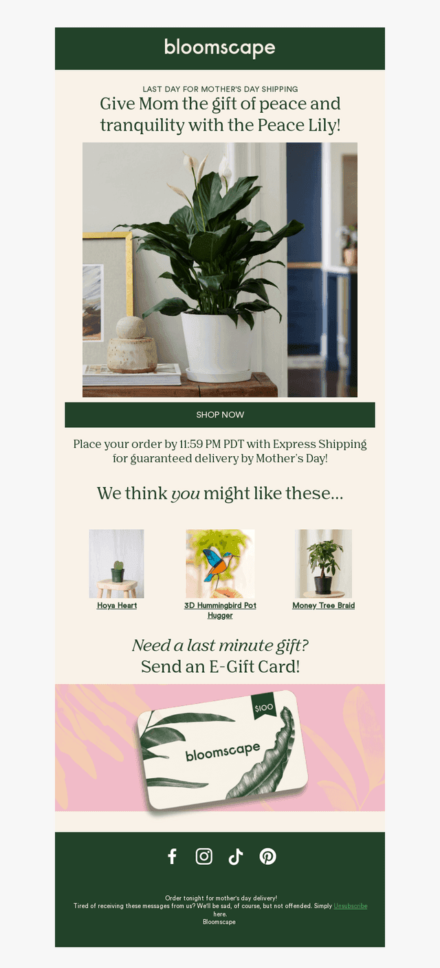 Last Chance to Get a Gift for Mom!