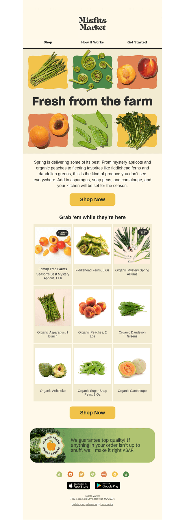 NEW Spring Produce is Here